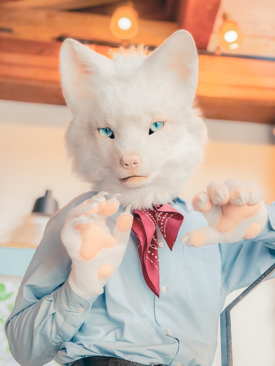 フィーカ/Fika ☕️ tweet media