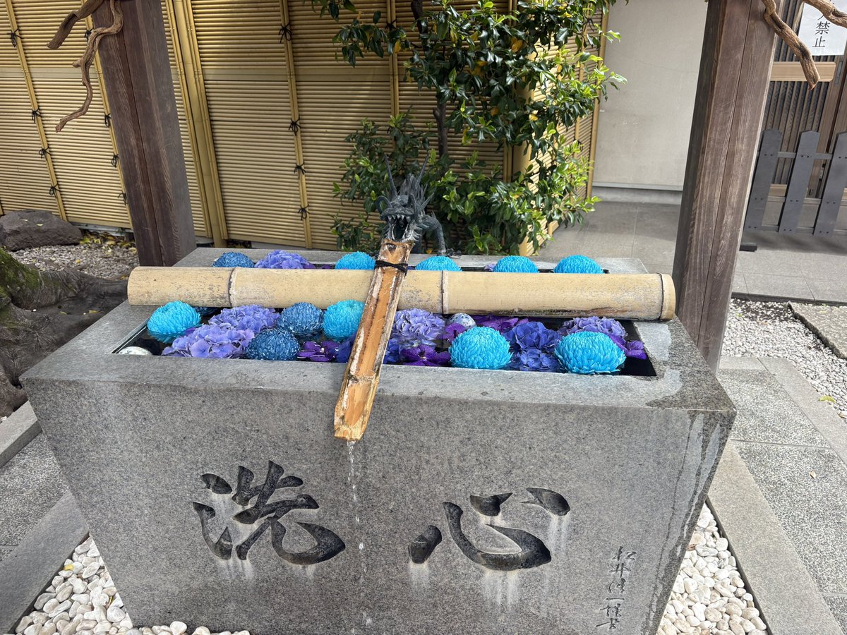 魔華 tweet media