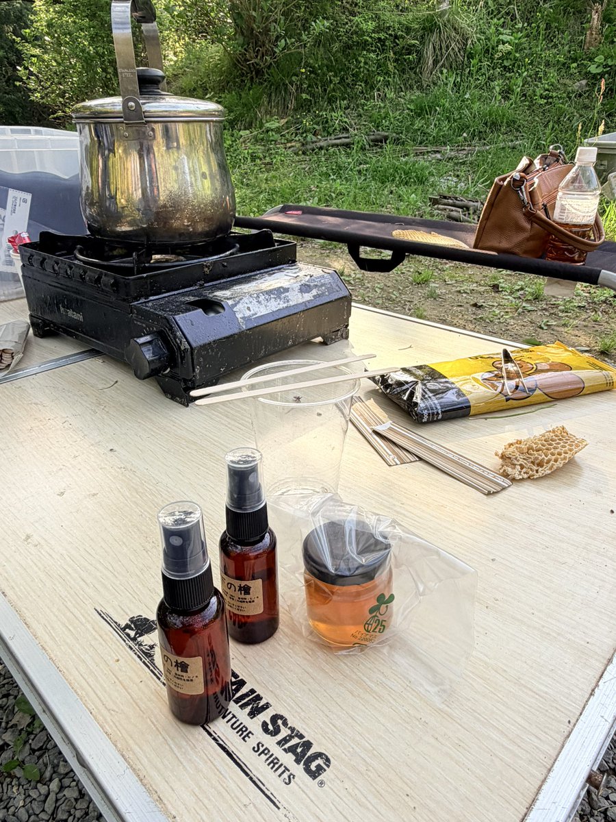 MickeyP(pechonyan) tweet media