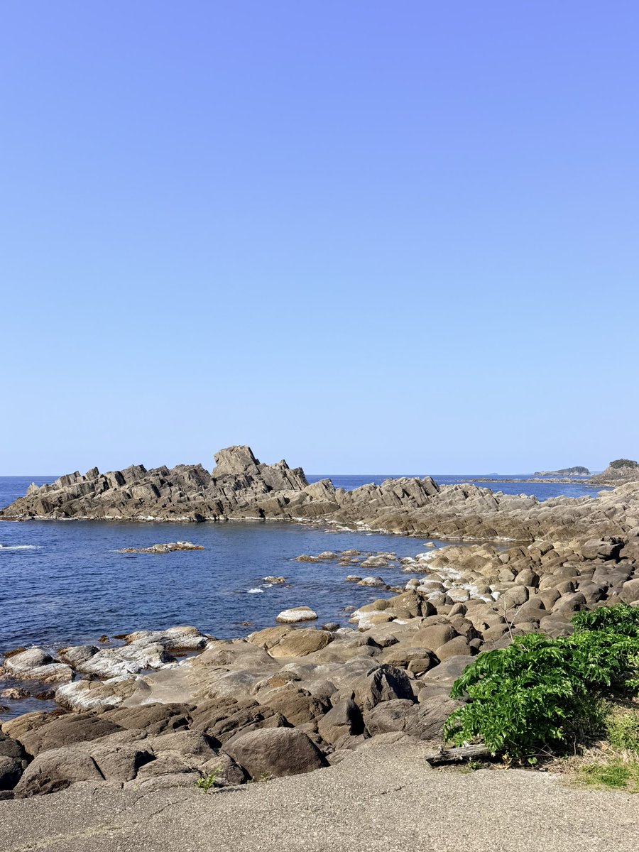 MickeyP(pechonyan) tweet media