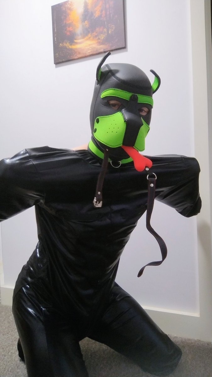 Naughty Pup tweet media