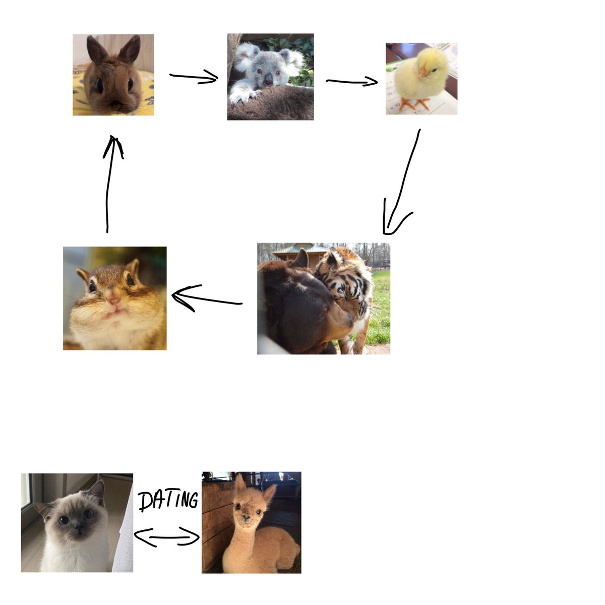 Horse⁷ tweet media