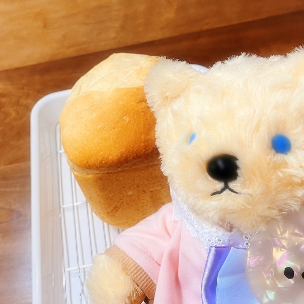 🐻‍❄️ ぱんです
(全粒粉入り🍞)