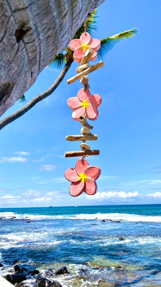 NatureVibe tweet media