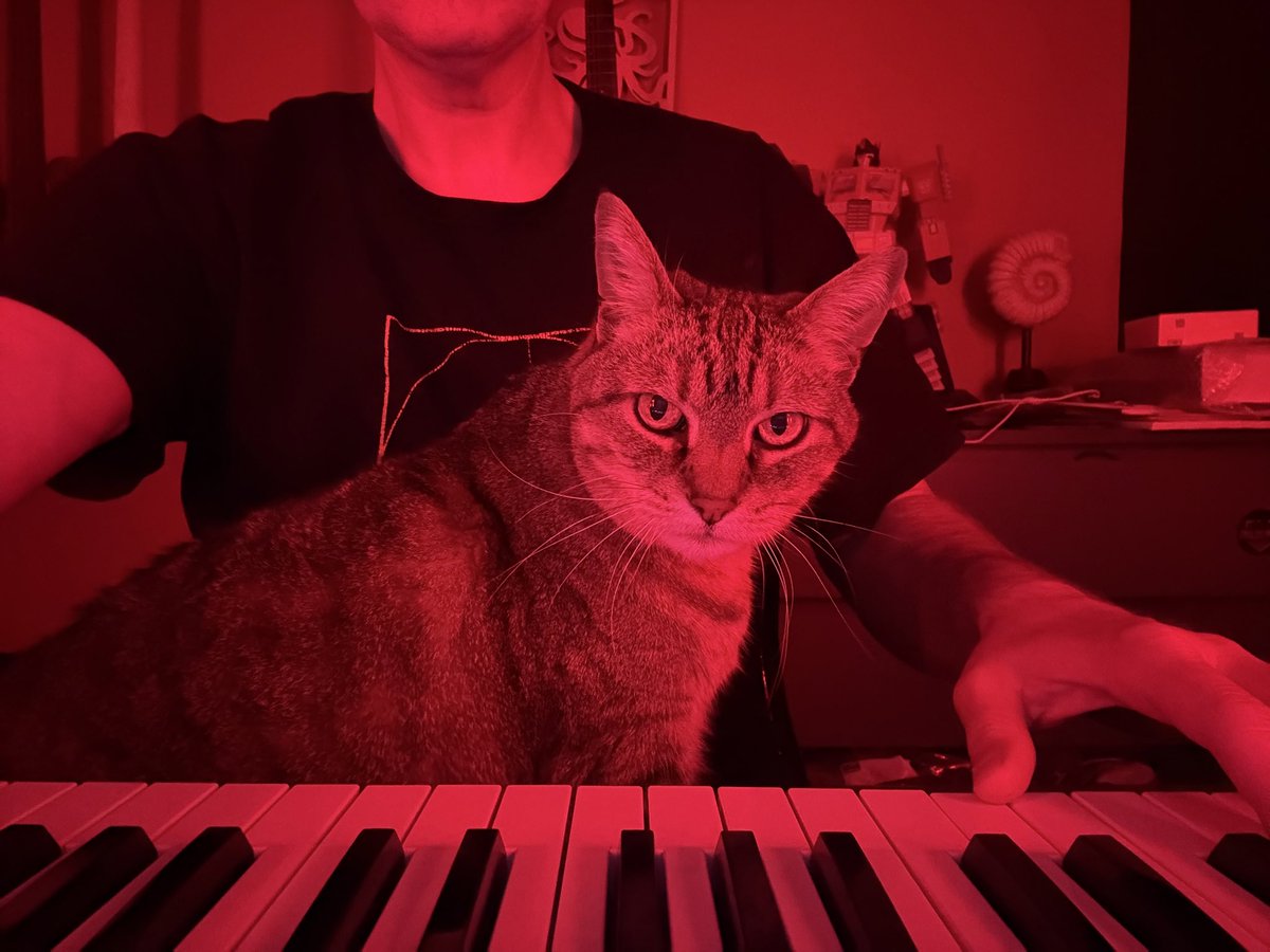 AnalogBurn's tweet image. Usual Caturday morning vibes.  Chub Chub has her own chair but refuses to use it and share mine instead.  

#Cat
#Caturday
#Studio