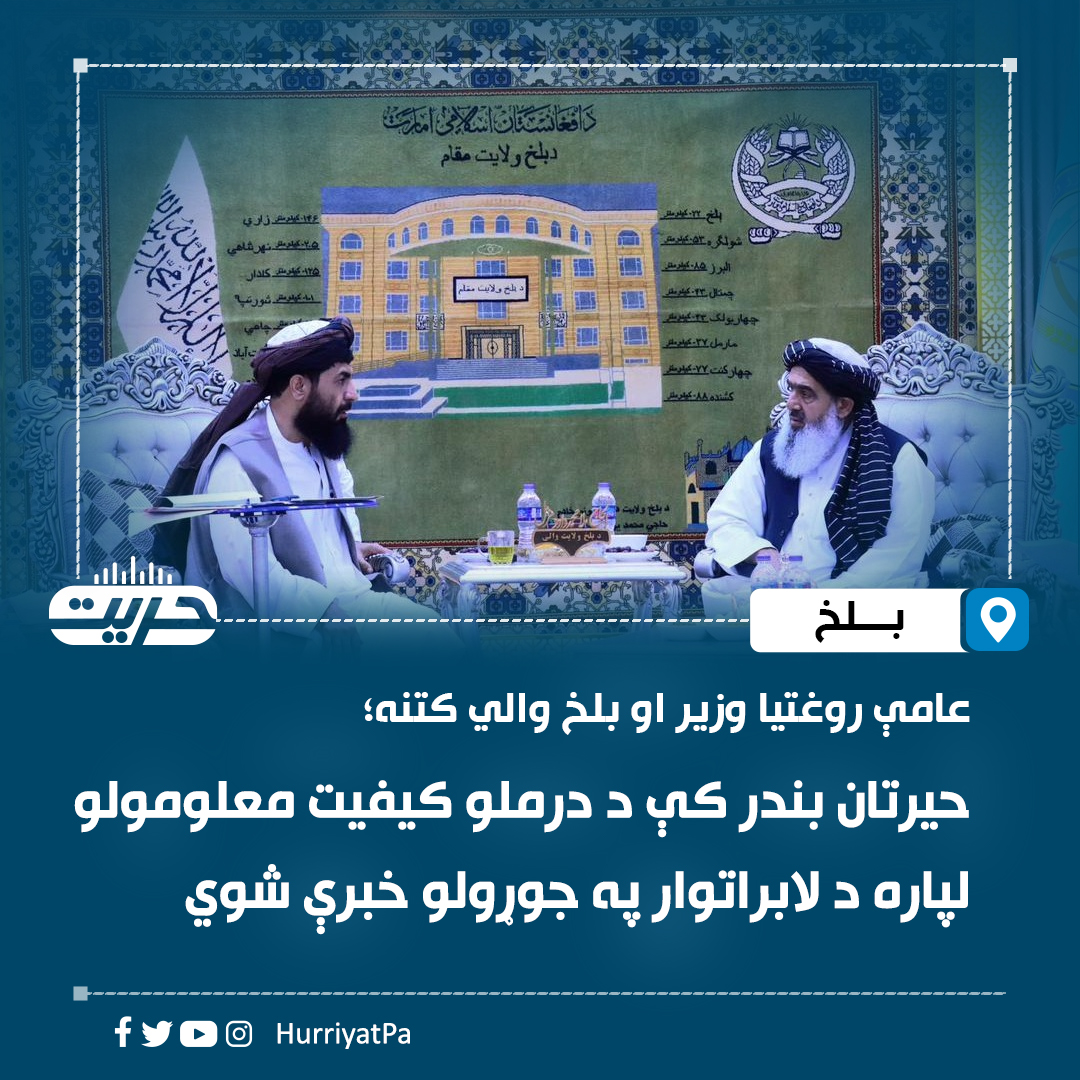 د عامې روغتیا وزیر مولوي نور جلال جلالي بلخ ولایت ته د سفر پر مهال محمدیوسف وفا سره کتنه کې حیرتان بندر کې د درملو کیفیت معلومولو لابراتوار په جوړولو خبرې کړي.

عامې روغتیا وزارت د دې لابراتوار جوړولو موخه افغانستان ته د وارداتي درملو کیفیت کنټرول او معلومول دي.

عامې روغتیا