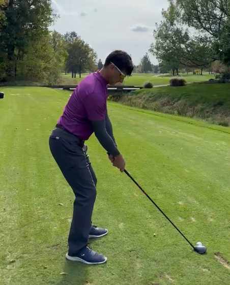 Thomas Link tweet media