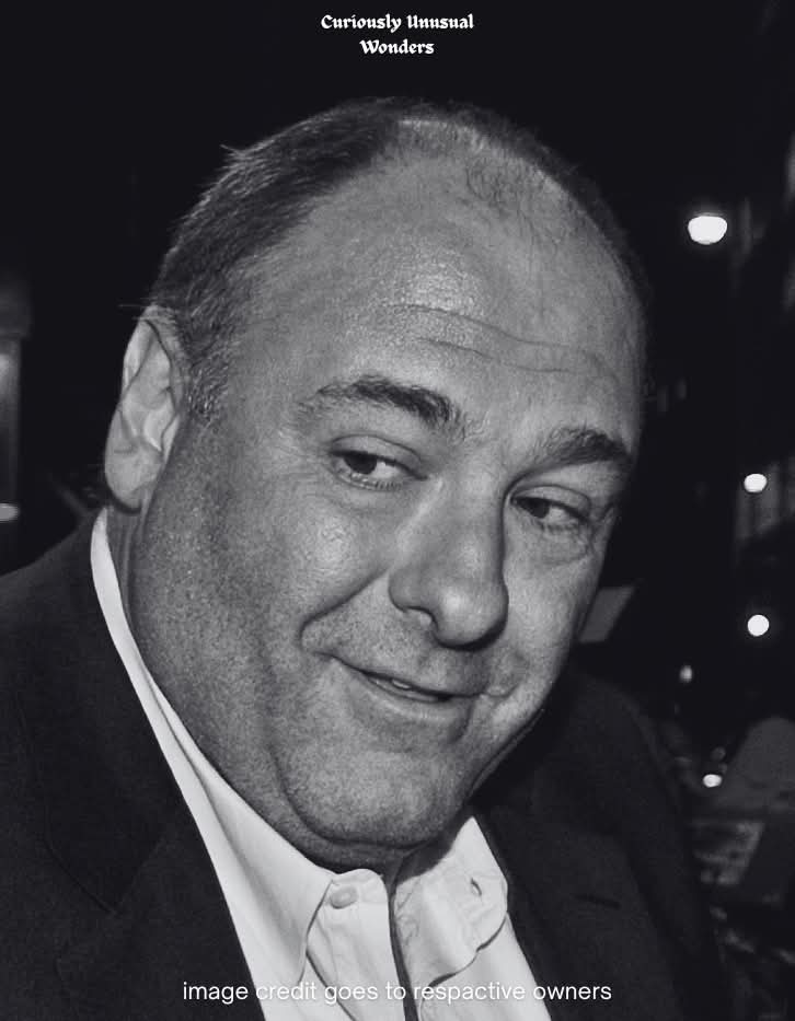 Crazy Vibes tweet media