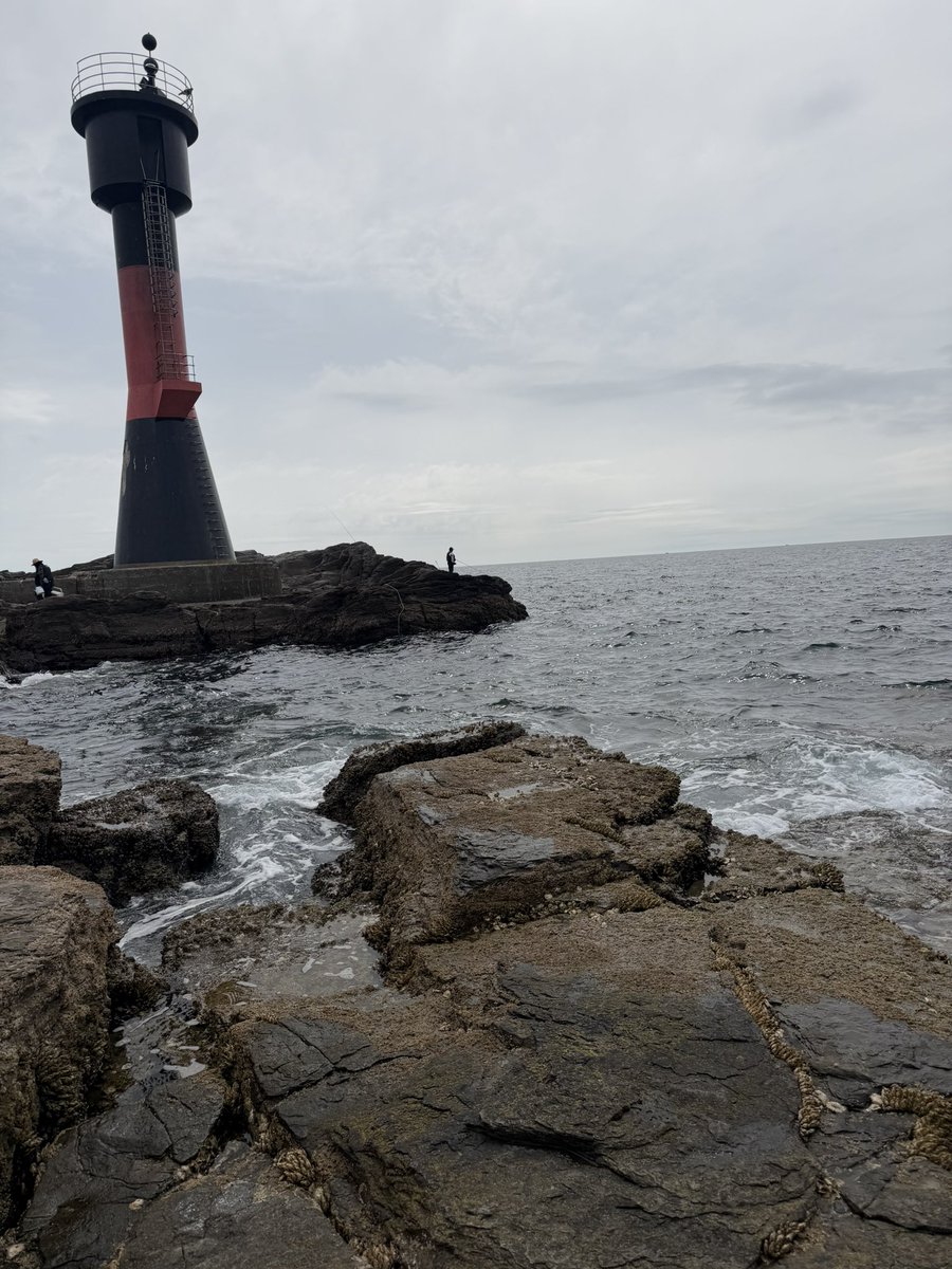 釣りキチ tweet media