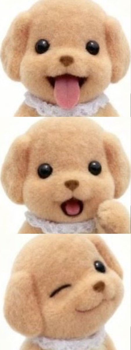 쏭 tweet media