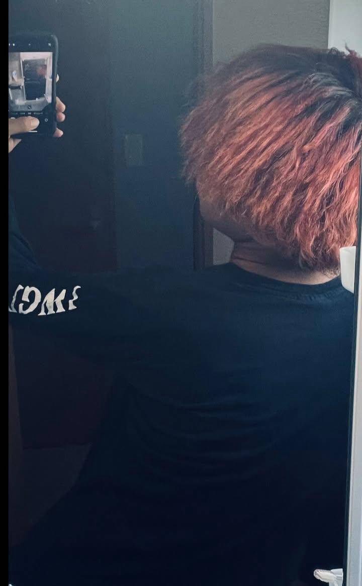 𝐄𝐕𝐄 tweet media