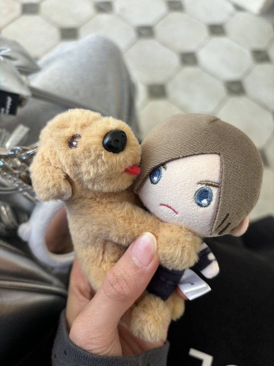 나무늘보 tweet media