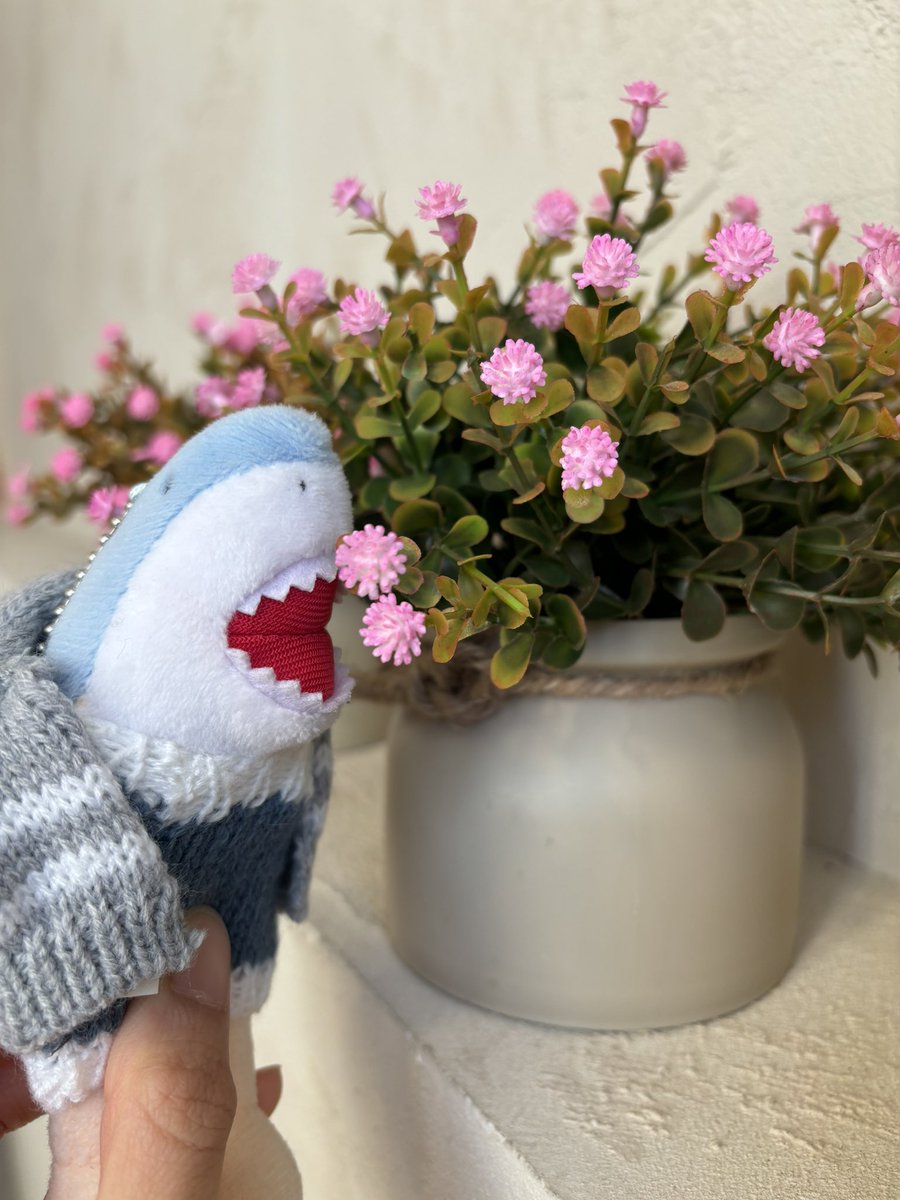 나무늘보 tweet media