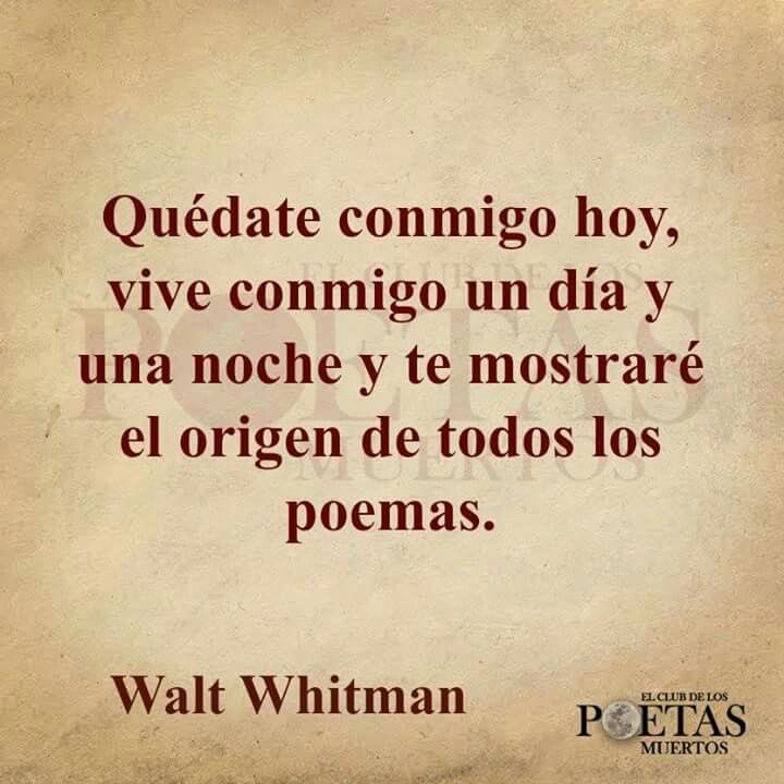 Faburalia tweet media