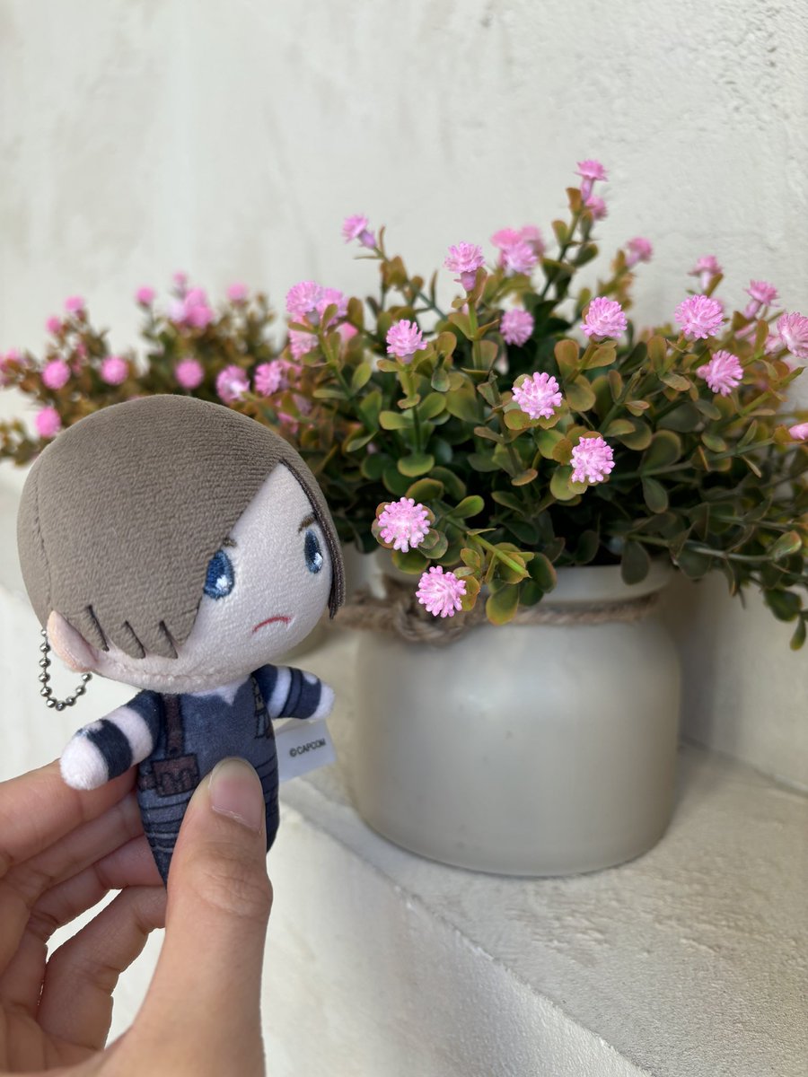 나무늘보 tweet media