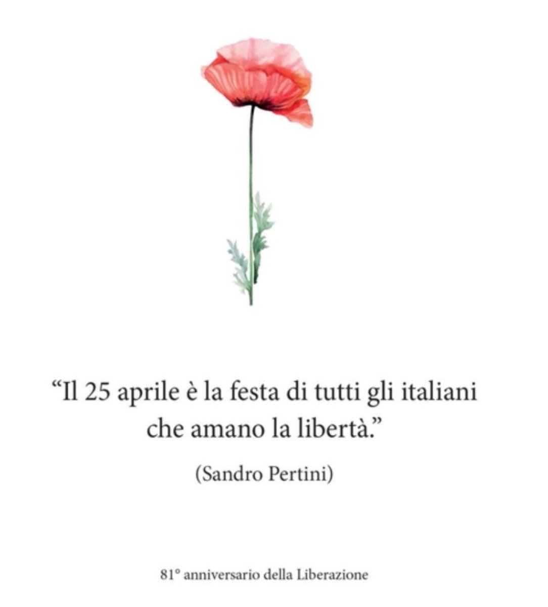 Lady_Saeleth's tweet photo. Buon 25 Aprile, festa della liberazione dal nazifascismo https://t.co/UysyQTXv9B