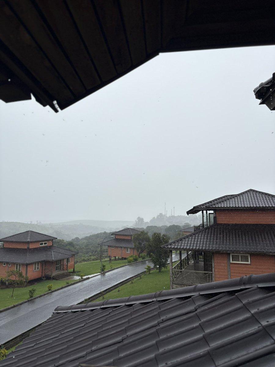 WICKED PRESH😎 tweet media