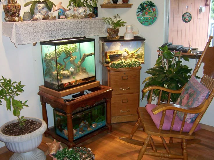 bluntspork tweet media