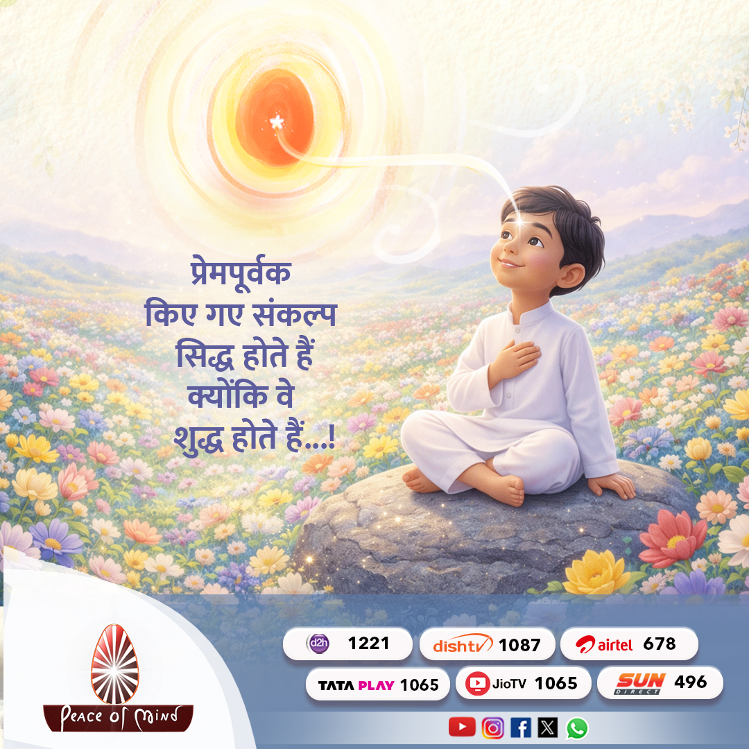 Peace of Mind TV tweet media