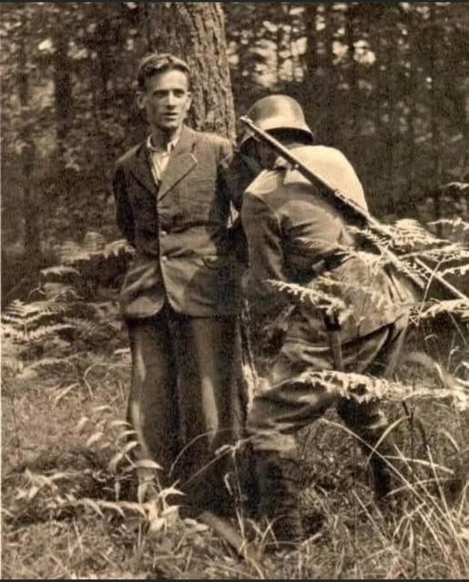 Angel Van Lang (divergent)✊🇵🇸🇨🇺NATexit noWAR tweet media