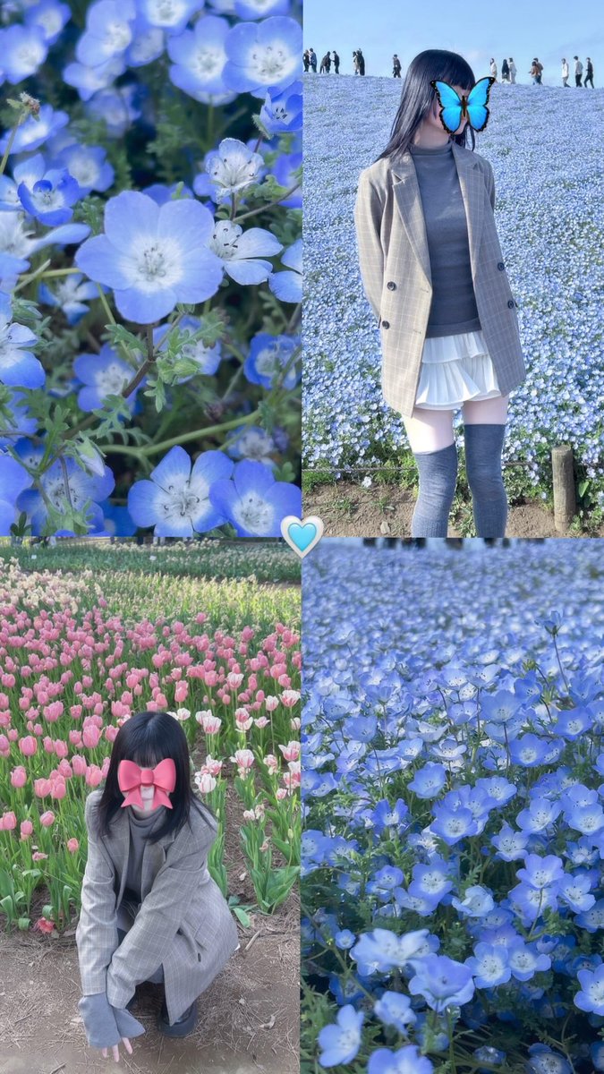 まやま tweet media