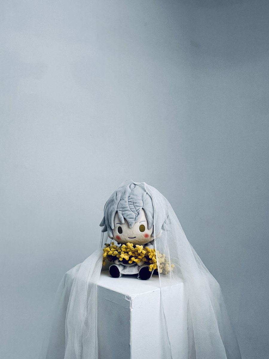 明暗🪽
#わた族撮影会260425