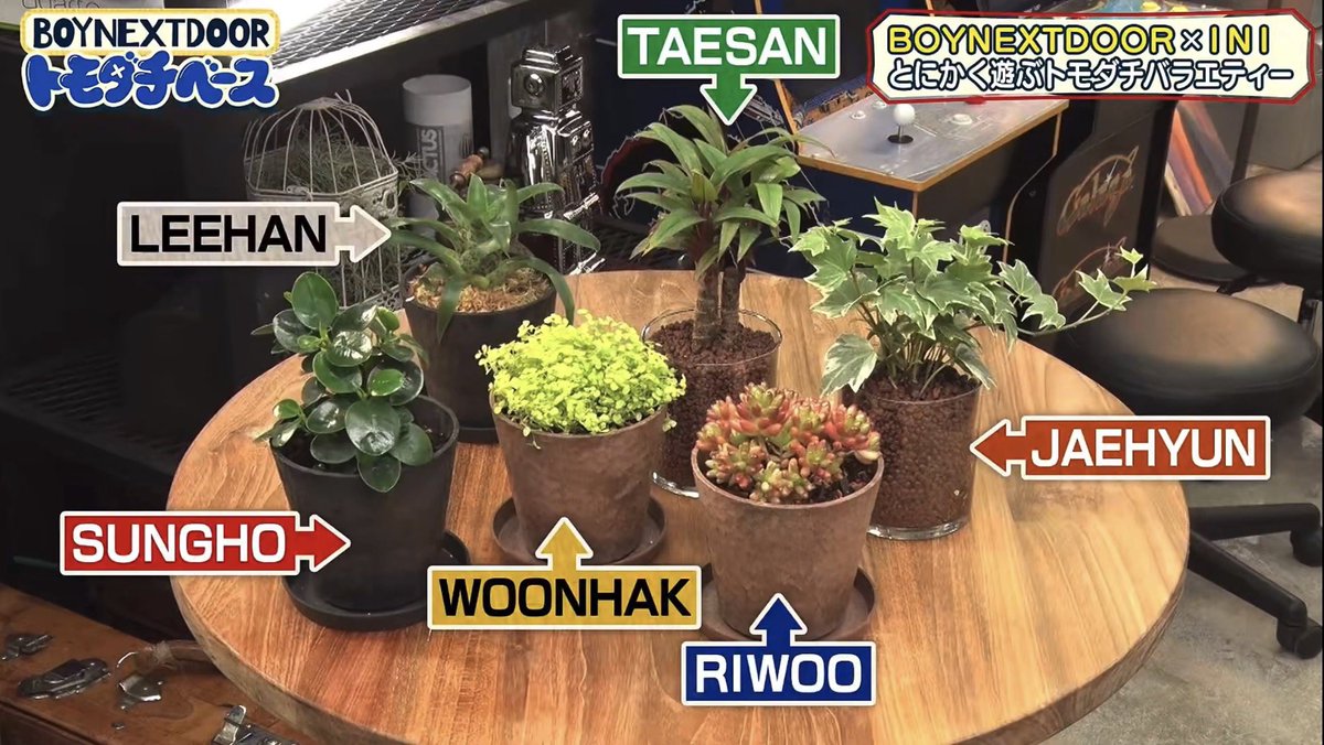 ʏᴀᴍᴀᴘɪs tweet media