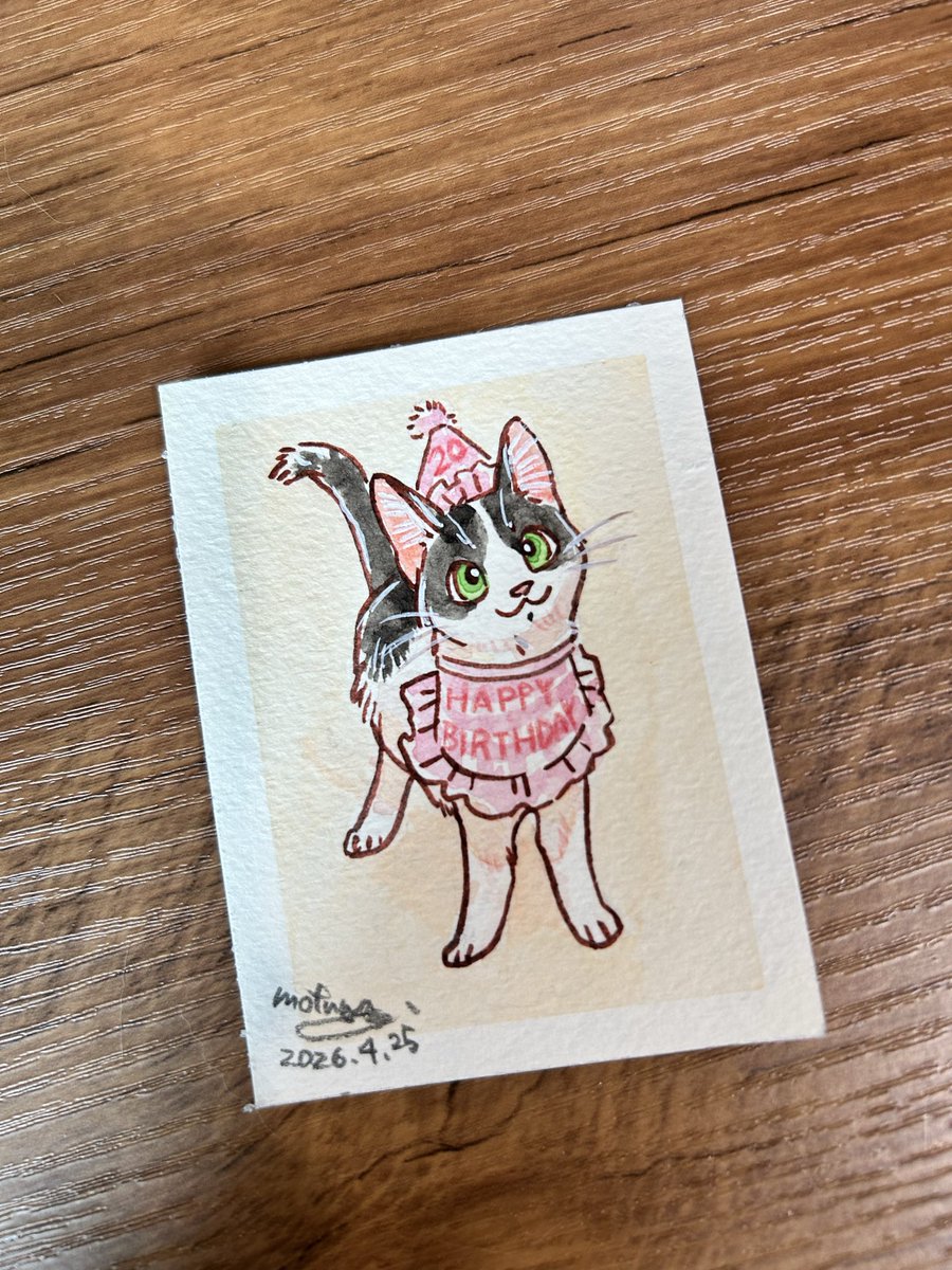 mofuwa🦘オンライン通販準備中🐱 tweet media