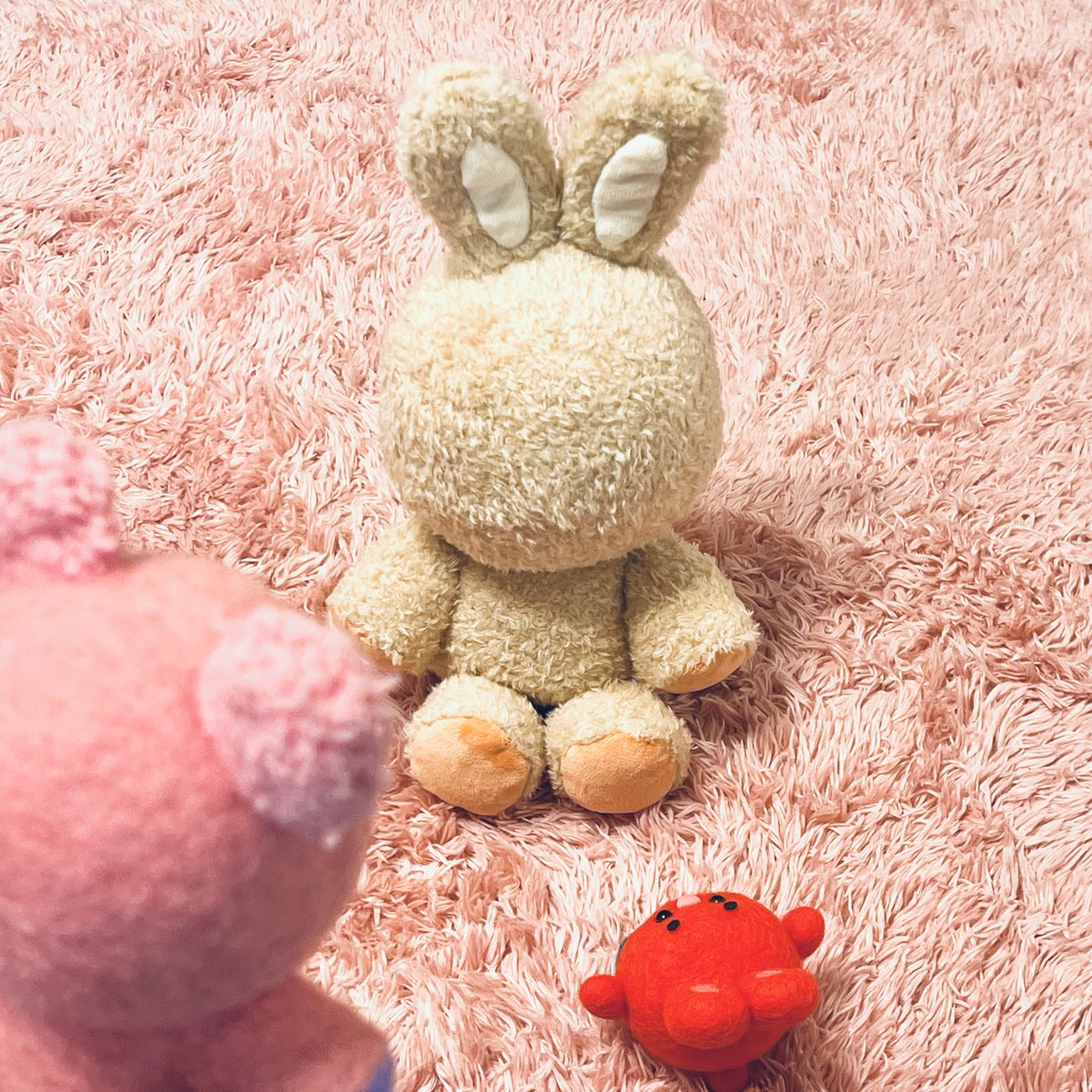 パッチャ🔴✨ tweet media