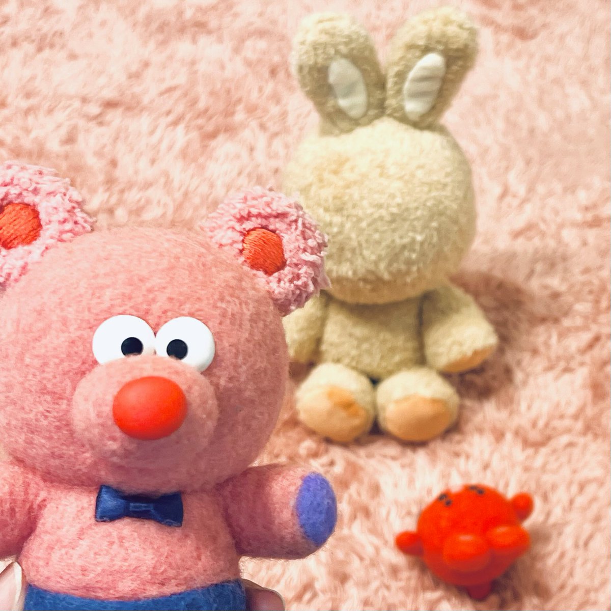 パッチャ🔴✨ tweet media