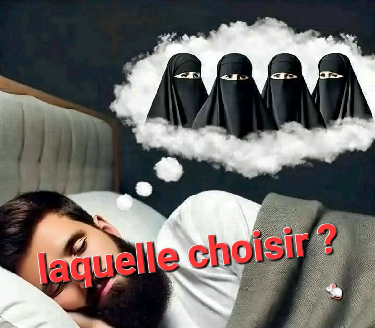 unesourisetmoi's tweet image. Pourquoi la #polygamie existe-t-elle ❓️ (#vraiment). Parce que dans certains #CAS le #choix est trop #complexe ... 🤔😄