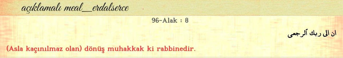 Erdal Serce tweet media