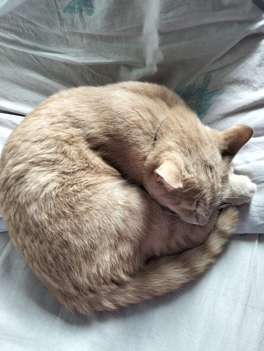 Алхимаг tweet media