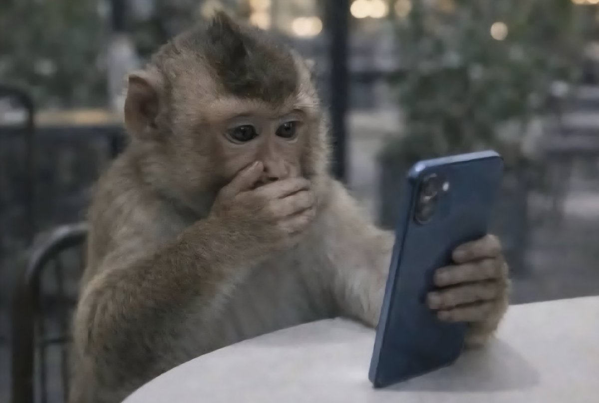 𝓓𝓸𝓬_𝔃𝓮𝓮 ✧ tweet media