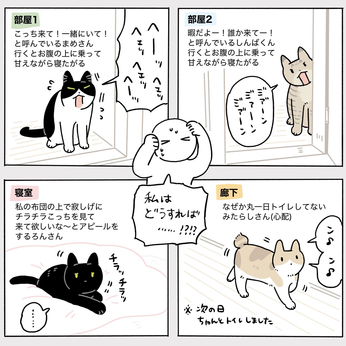 AKR🌱⑧巻6月発売 tweet media