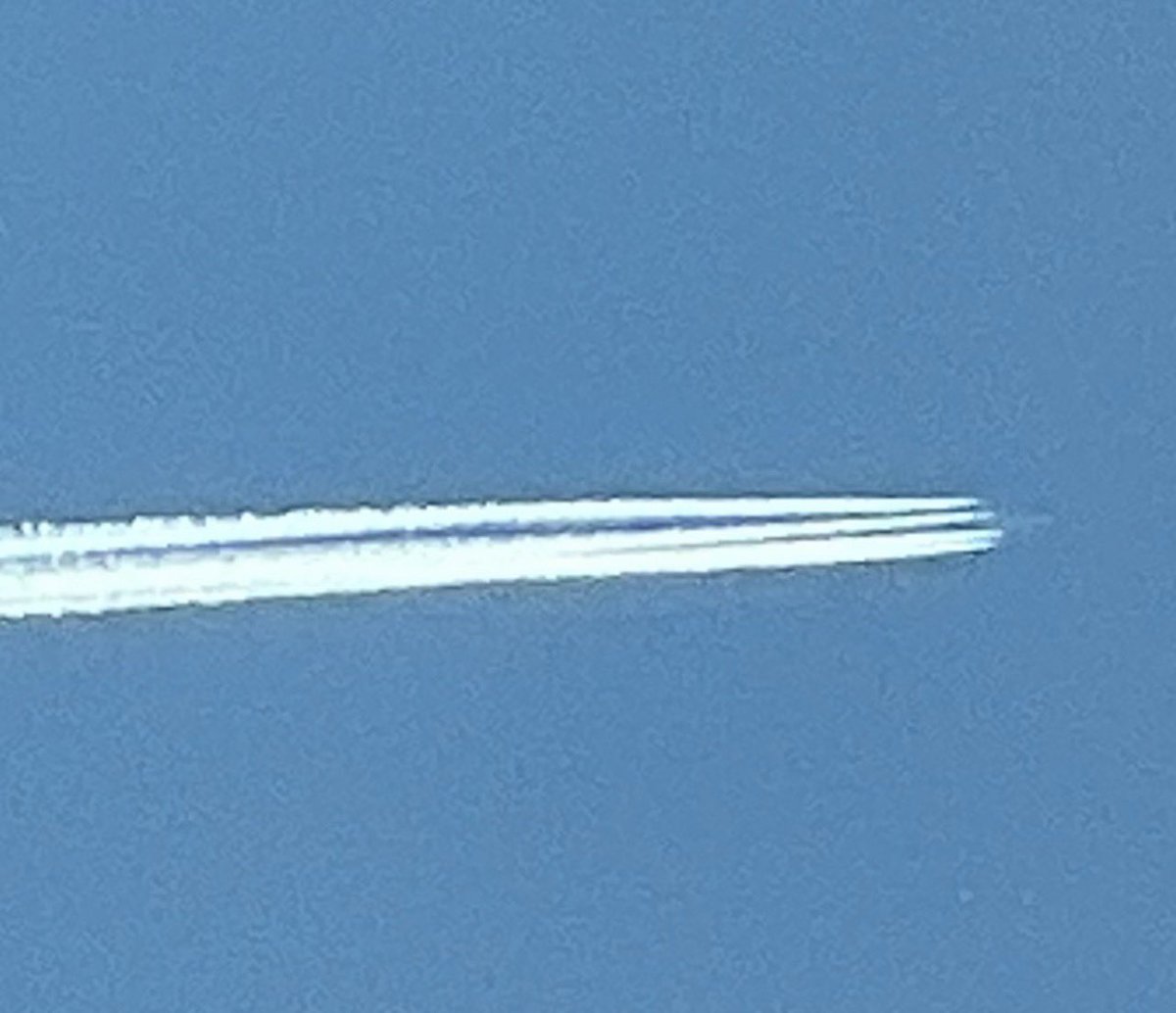 Paul Harding 🏴󠁧󠁢󠁥󠁮󠁧󠁿 Enough Is Enough tweet media