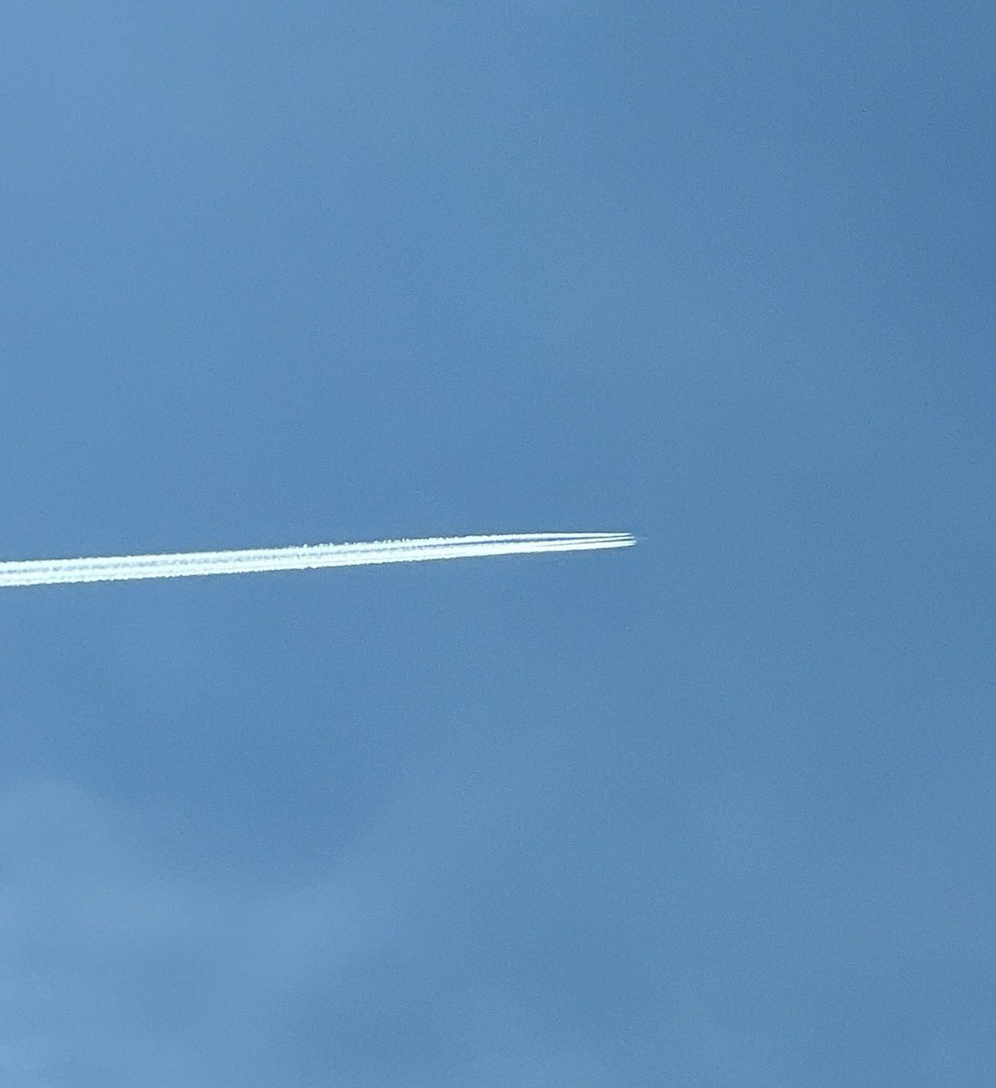 Paul Harding 🏴󠁧󠁢󠁥󠁮󠁧󠁿 Enough Is Enough tweet media