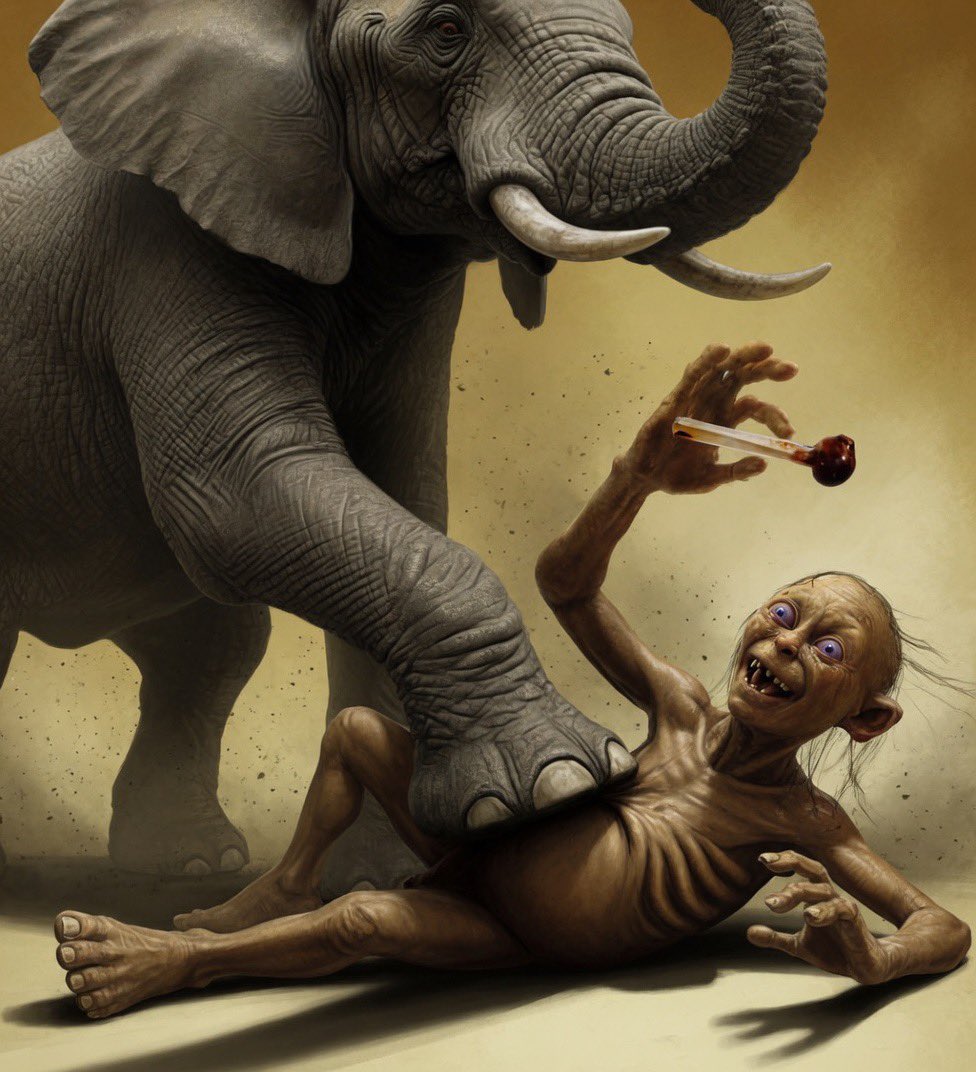 Pakistan Herald tweet media