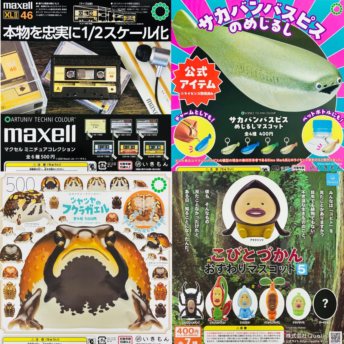 ③12種入荷しました