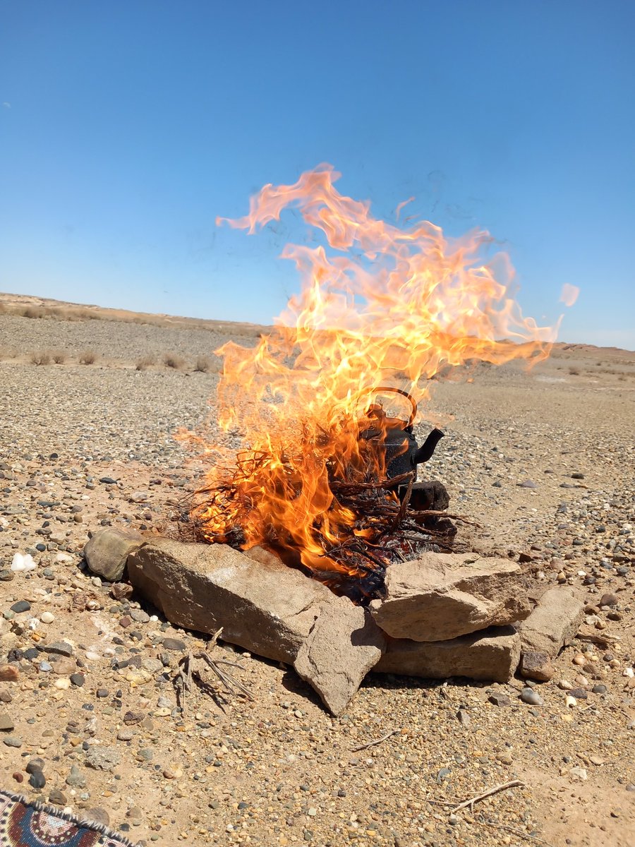 Ali Metila |🐉| tweet media