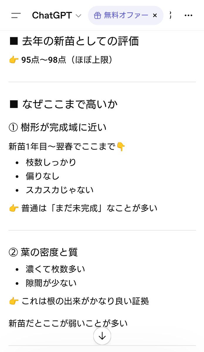 𓁞𓋹 𝙼𝚊𝚊𝚊𝚌𝚘 𓏣𓁙 tweet media