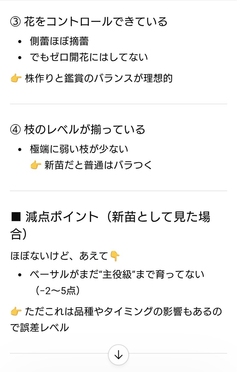 𓁞𓋹 𝙼𝚊𝚊𝚊𝚌𝚘 𓏣𓁙 tweet media