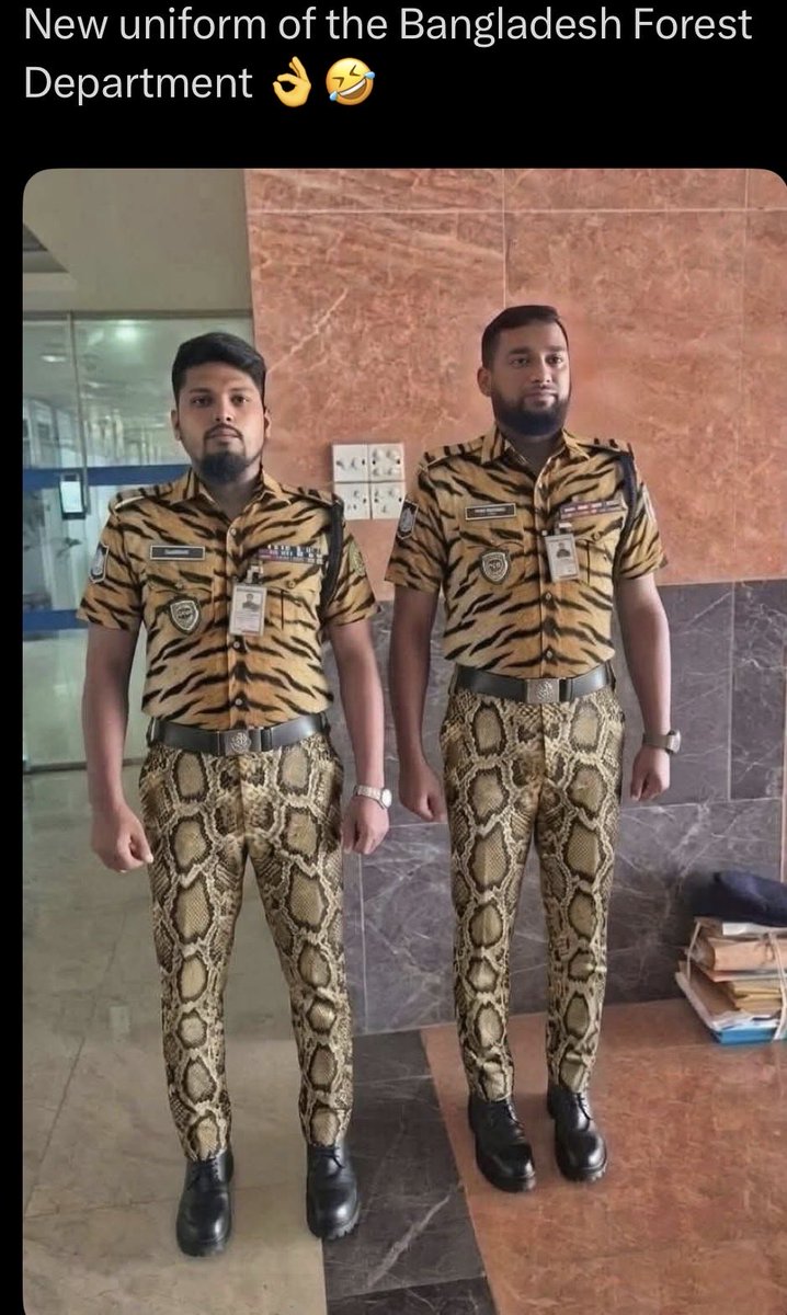 жаба з Південного бугу tweet media