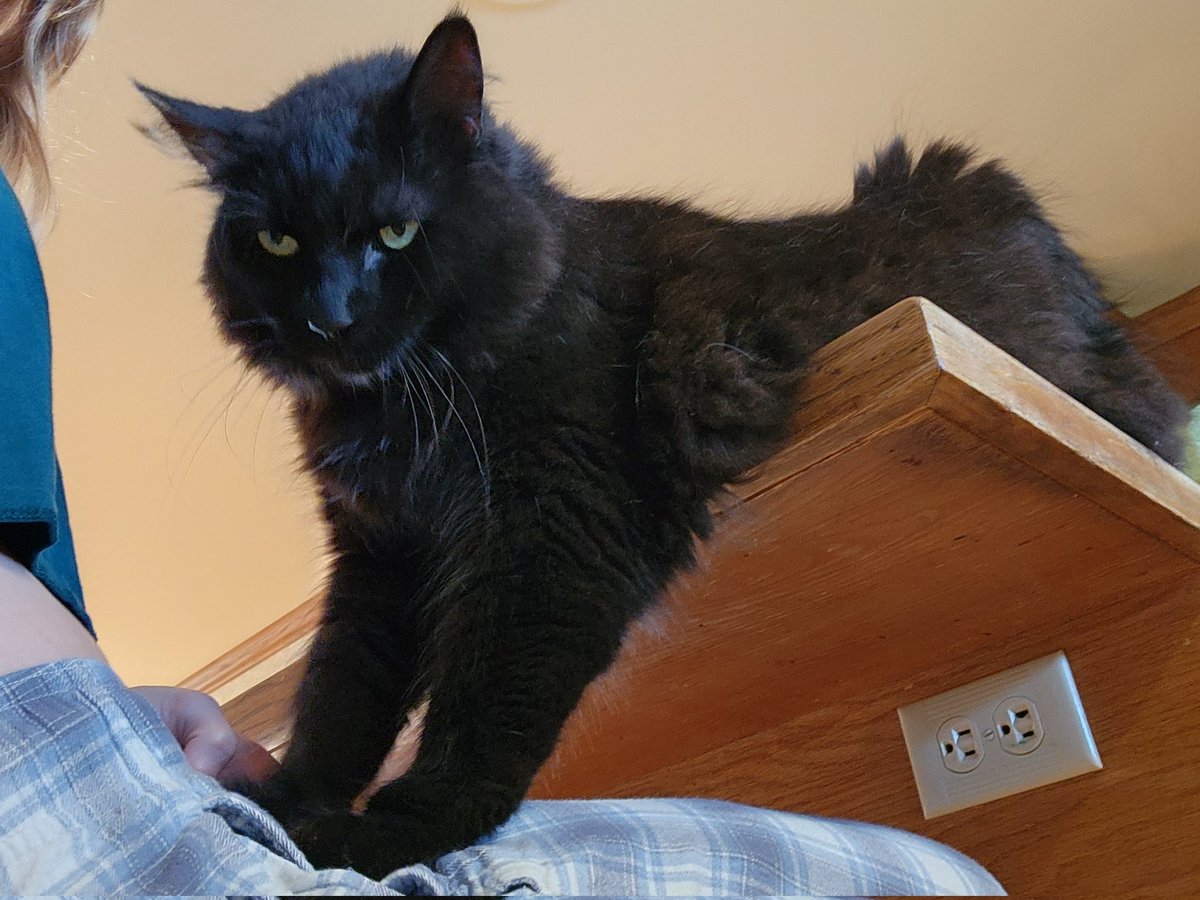 bwaerr's tweet photo. He is using me for biscuits and jt hurts https://t.co/NVPQkr7Adz