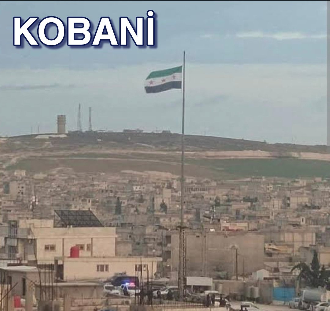 Elî MED ✹ tweet media