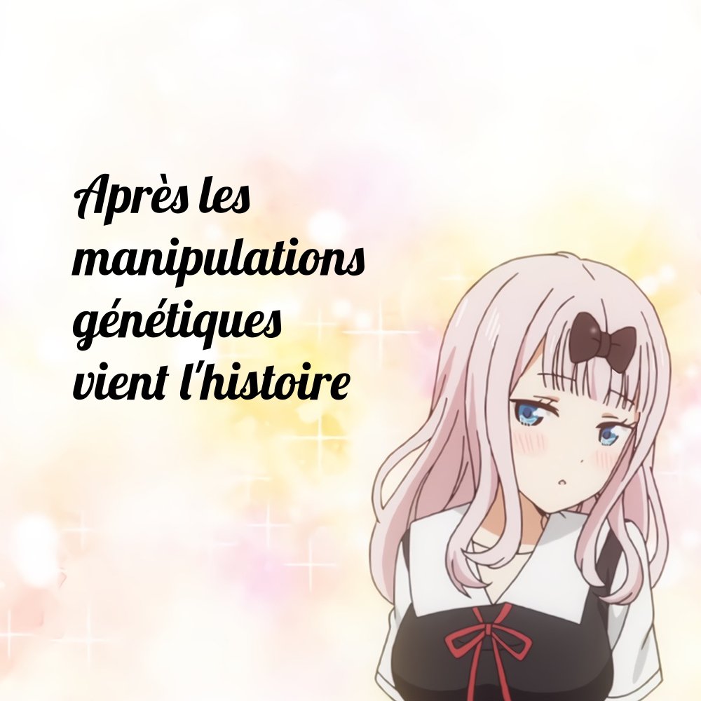 Proverbot 🌚 tweet media