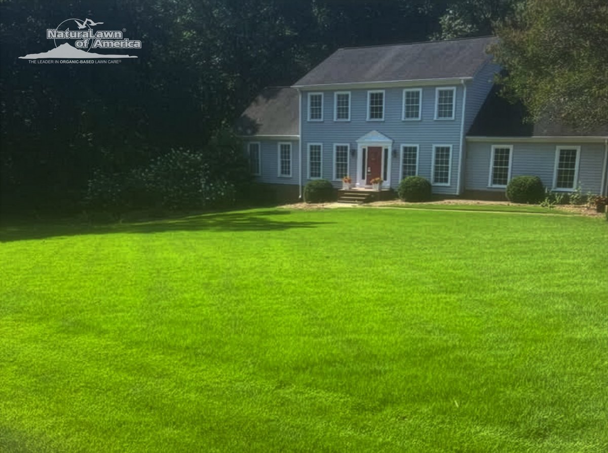 NaturaLawn's tweet image. Greenville, SC lawns are looking fresher, fuller, and ready for whatever the weekend brings.

#NaturaLawn #NaturaLawnOfAmerica #NLA #LawnCare #EcoFriendly #PetFriendly #SpringLawn #LawnCareMonth