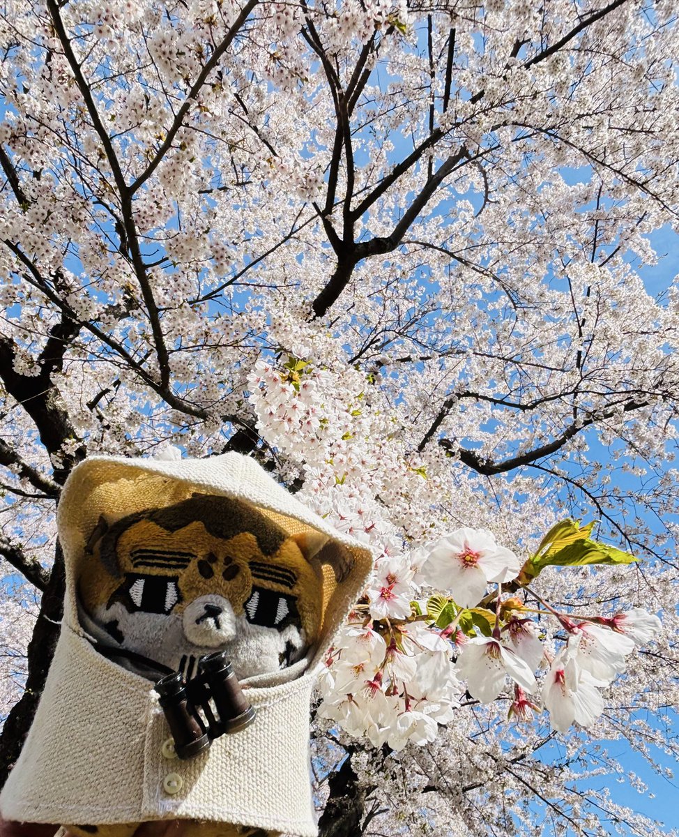 さえみ tweet media