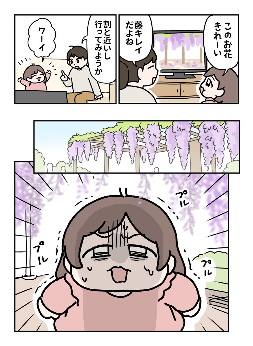 aiuepo615's tweet image. 繊細5歳児と藤の花（1/2）