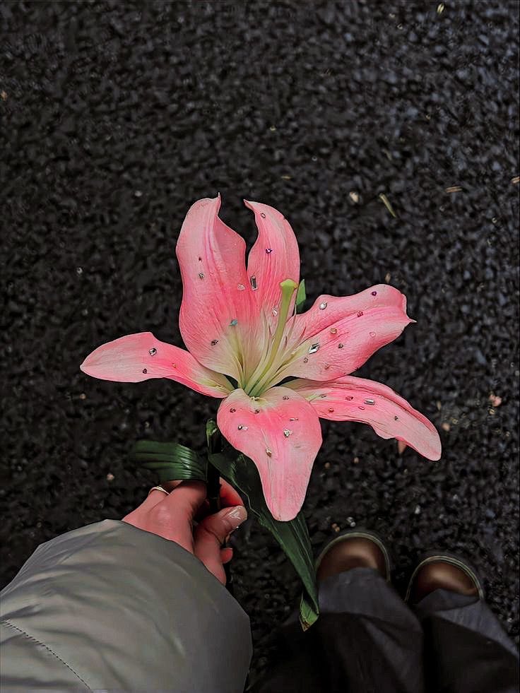 𝑓𝑙𝑜𝑟𝑎 tweet media